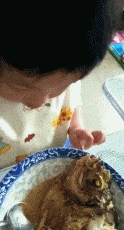 |搞笑GIF:妹子,这头卡的进不来出不去,好无奈啊