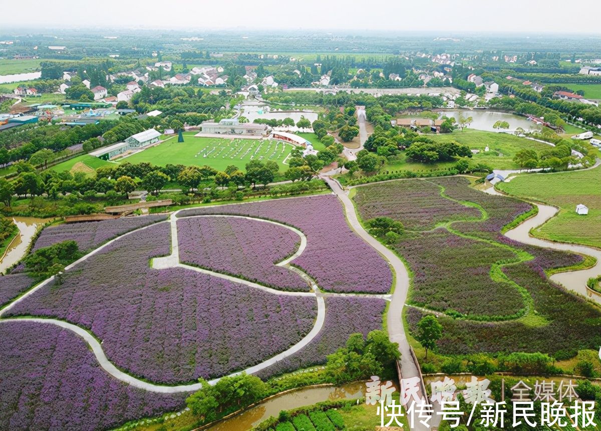 朱家角游客服务中心|示范区7路要来啦！从朱家角到黎里出游更方便