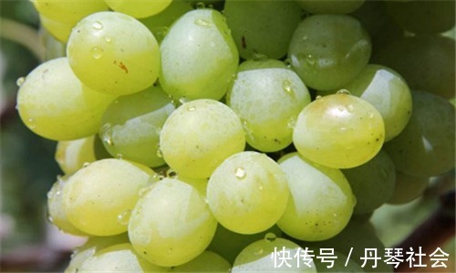 营养均衡|想长寿得会吃,推荐3种食物,排出毒素、瘦身消脂,身体更健康