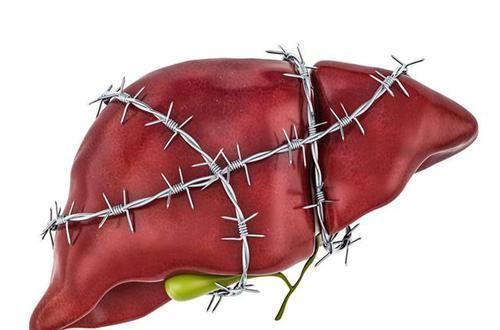 胆汁|养肝“冠军”找到了,不是胡萝卜,平时可劲吃,肝脏感激涕零