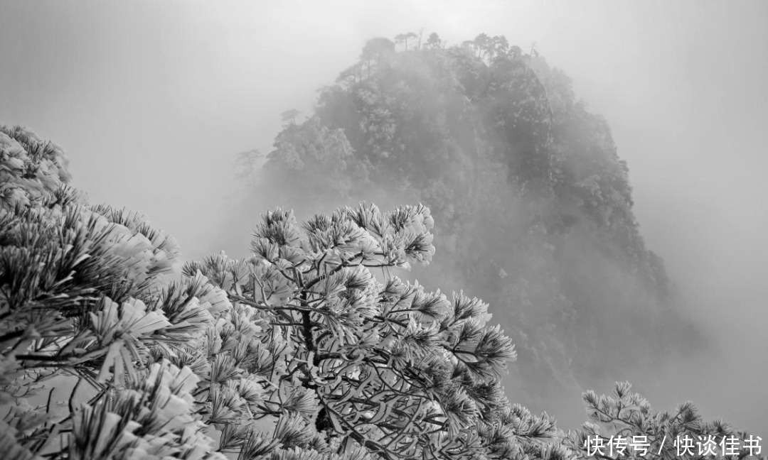 闽北美景｜光泽乌君山：四季风光无限