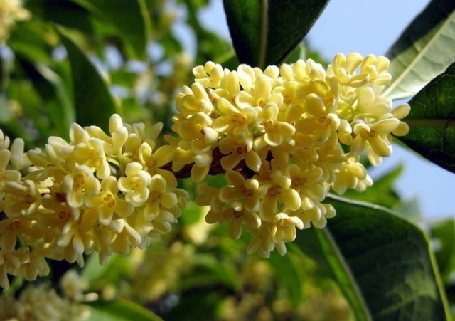 肠胃|消化科医生养胃很简单,3种“零食”,你若爱吃,胃自然好起来