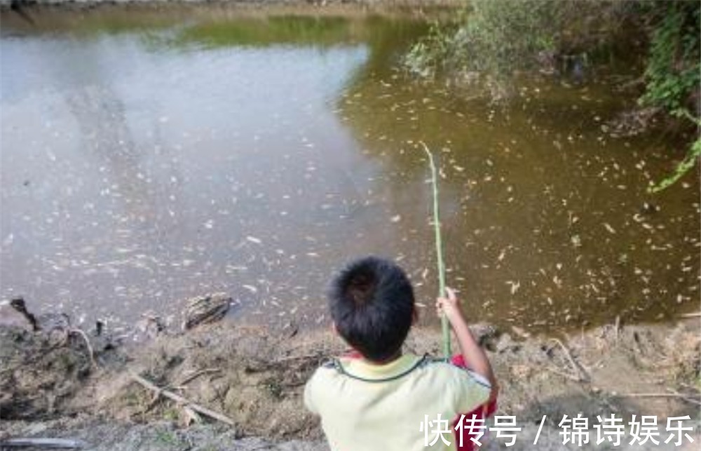 良言&俗语:外甥头,舅家牛,叔嫂房,不同问,老祖宗看透人性的良言