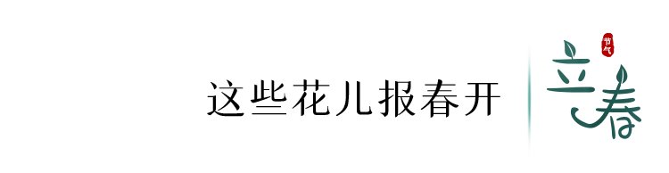 望春|今日，立春