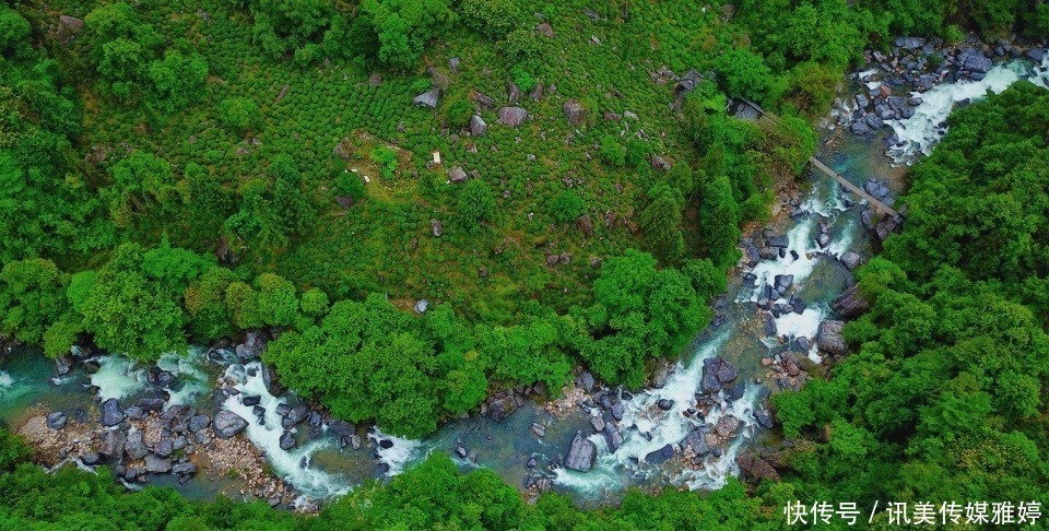 主峰|皖南被遗忘的一座山，古时与黄山齐名，今成华东地区动植物基因库