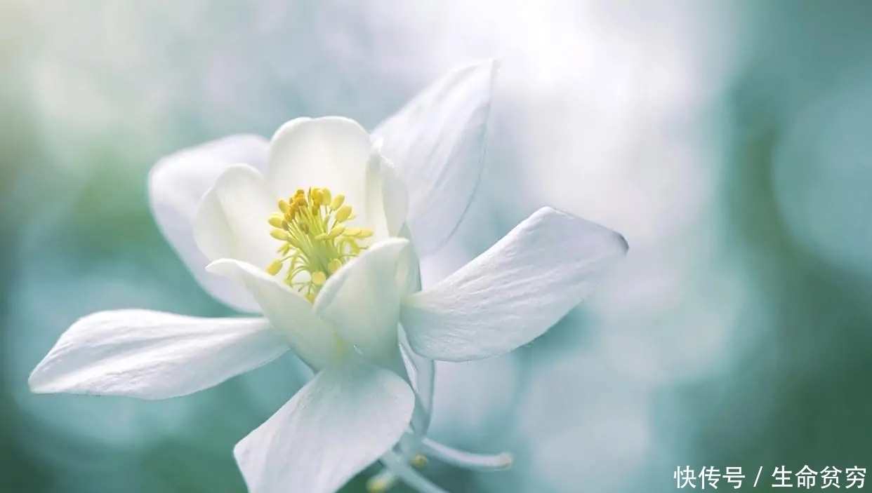 身边|人生:善待身边的这四个人,福运不请自来