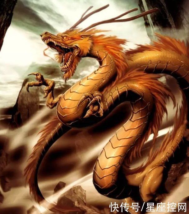 力高|哪几个生肖前几年瞎忙没前途,最近领悟力高,找到出路笑到最后