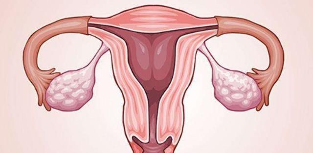 地震|胎停育就像一次生活“大地震”，这7个原因，不得不留意！