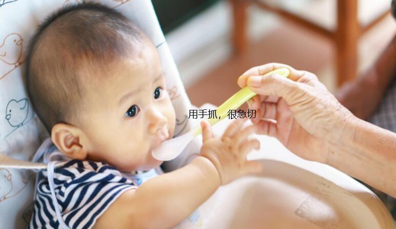 早产儿|宝宝不爱吃辅食的3个秘密,你知道几个?新手爸妈可收藏