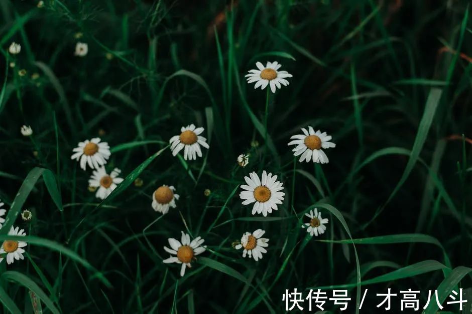 骑马射箭&8首“不服老”诗词:心若年轻,何惧沧桑