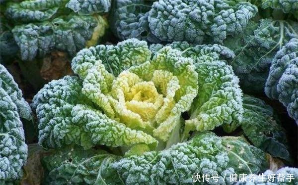 霜打过的菜为何甜这4种菜不怕冻,别错过最后一种,越冷越好吃
