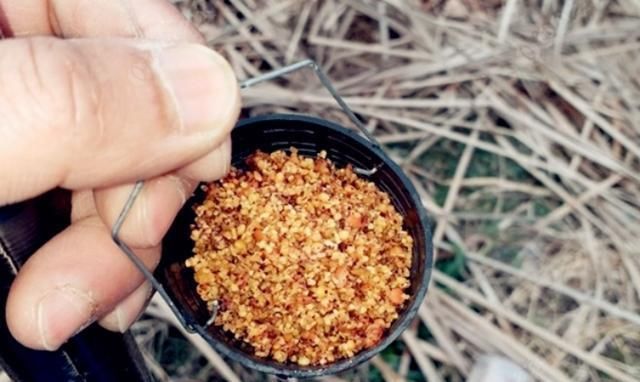 野钓打窝我绝不乱来牢牢记住这“八字诀”,不管在哪钓都能过瘾