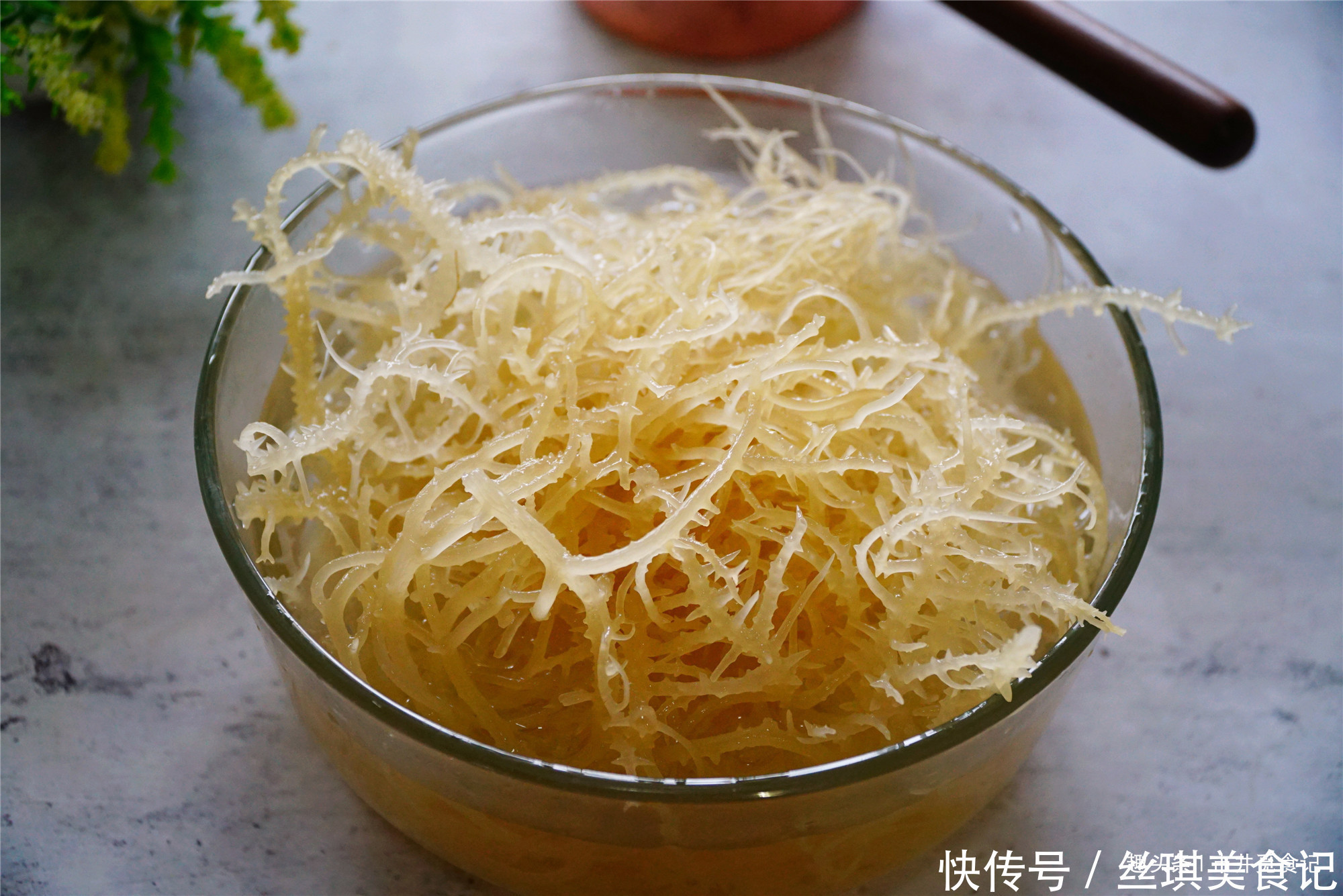 食用胶|夏天最该吃的一道菜,被称为“藻类精品”,比吃肉还养人!