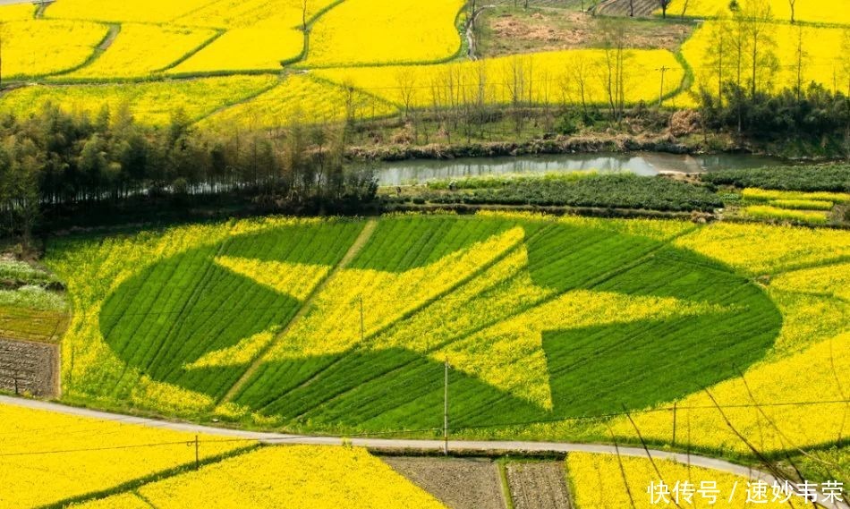 春游黟县丨最美赏花游攻略