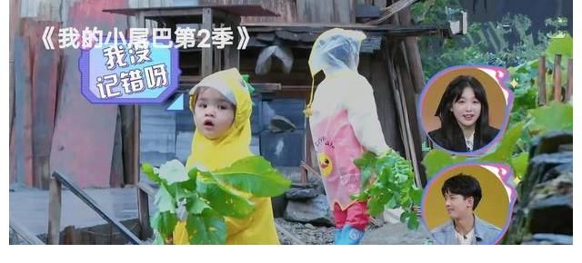 骗你生女儿的综艺，入股不亏