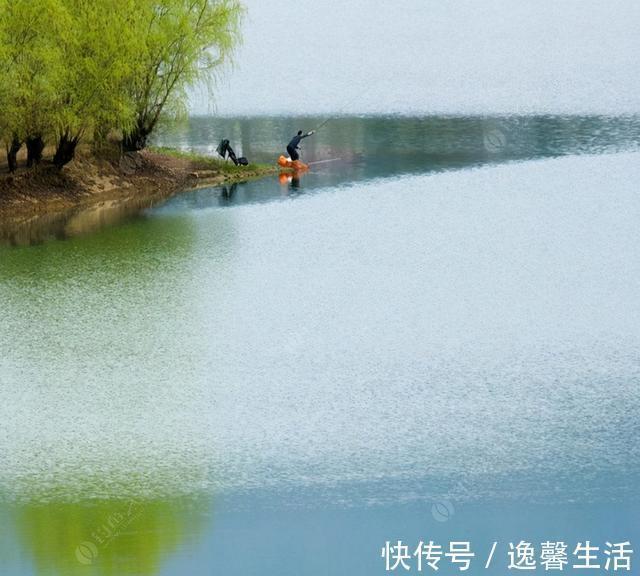 西南风|天刮西南风气死老钓翁野钓风向对鱼获影响知多少