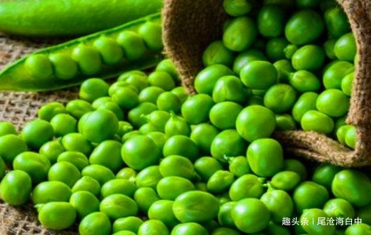 马茹子|女性要排毒,离不开4种食物,滋阴降火,能够养颜,滋养女性子宫