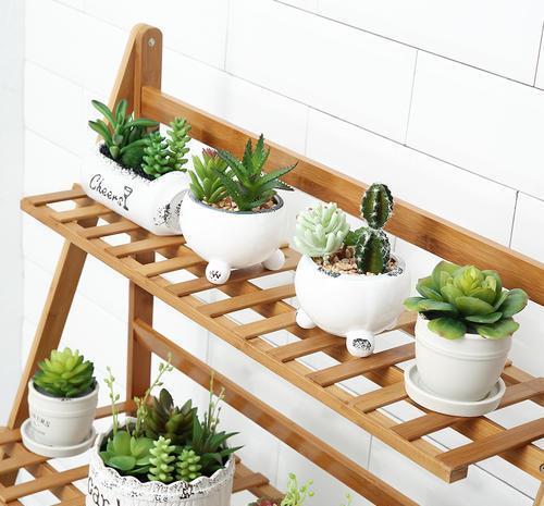 阳台|阳台养花如何搭花架?老花农是这样做的,美观也不影响花花生长