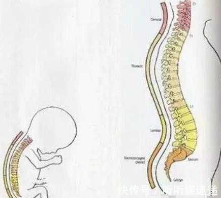 枕头|这些婴儿用品已经被专家列入黑名单,80%的爸妈还在购买!