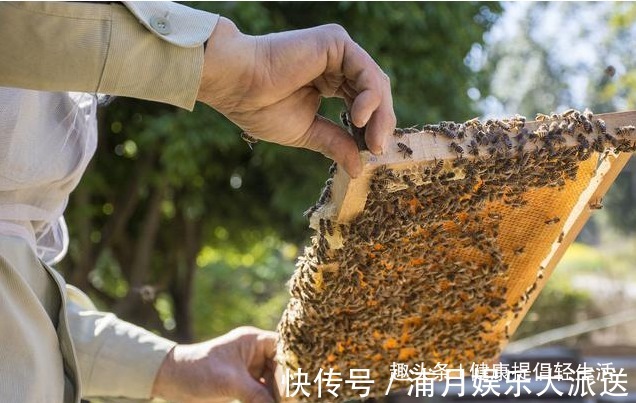 白酒|没有“保质期”的4种食物,存放几年再吃,营养丰盛对身体好处多