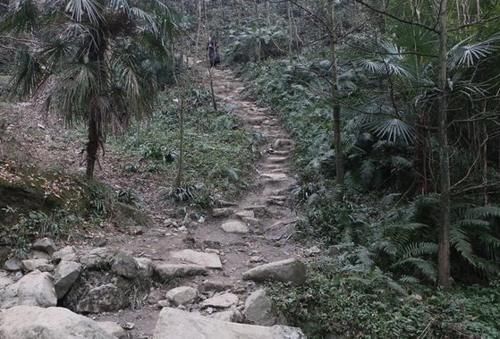 神山|这座古蜀神山，只有少数的成都人敢挑战登顶，山顶仙境唯美