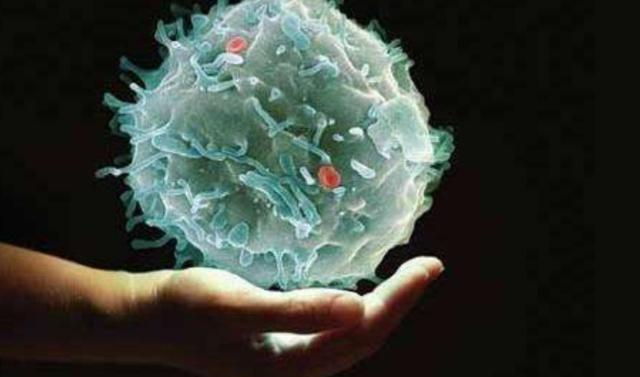 免疫能力|癌症形成期基本36-45岁,如果没有此些症状出现,说明身体还不错