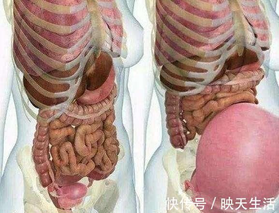 孕妇|孕妇肚子胀气不消化,这几个方法能快速排气促消化,胎宝发育好