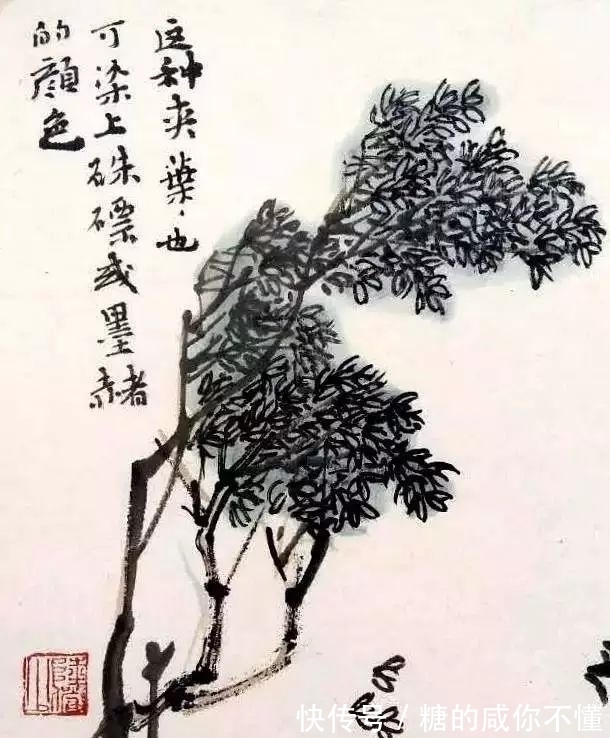 树木@「津门网」陆俨少的课徒稿:如何把一棵树画好