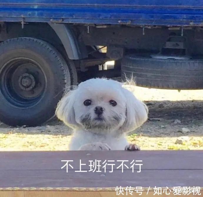 假唱 老天爷追着喂饭都没爆红,这位姐到底有多“懒”?