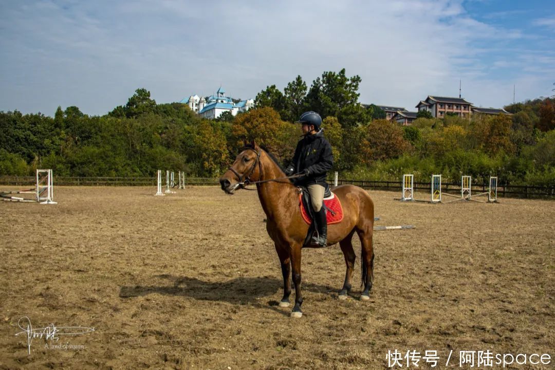  骑马|想体验骑马不一定要去内蒙古，在嘉兴南北湖就可以圆这个梦
