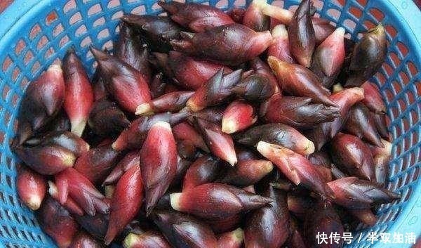 野草|农村这种草，被称为“小人参”，浑身是宝却常被人当野草！