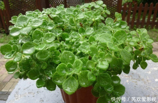 壁画|家门口放上4样东西，穷人变富、富人更富，越住越发财！