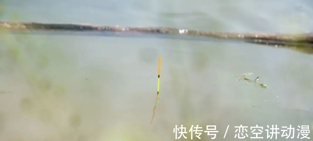 鱼口轻时,如何看准漂相?选择什么样的浮漂,会让漂相更明显!