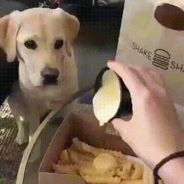 |搞笑GIF:这就是一个人之所以不单身的原因