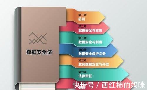 数字经济|“数据安全法”落地在即 柏睿数据：在数据安全底座上加一把“锁”