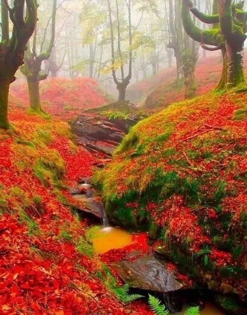 中老年人|50岁以后，不要自作多情