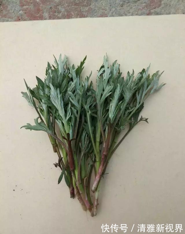 炒菜|饭桌上不常见的野菜,吃过的人是少数,农村人才认识!