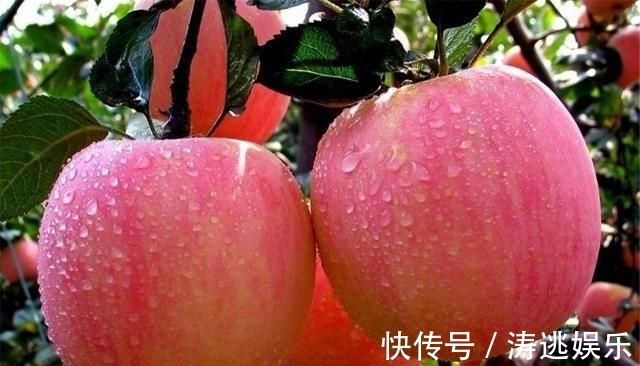 早餐|气血不足,女人衰老快,晨起吃1物,补充气血,脸上雀斑少!