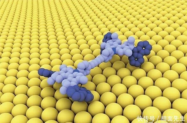 用计算机真正模拟生命还要多久