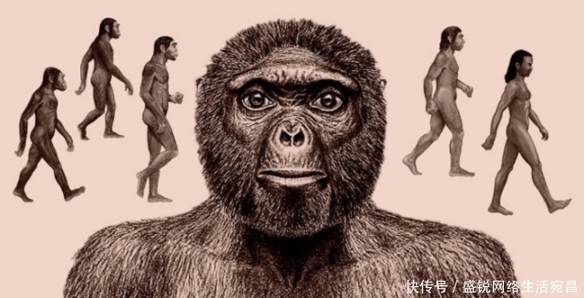 四个科学史上被认为荒谬的理论,现在都被认为是对的