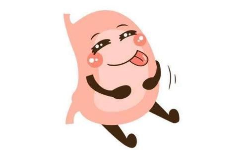 饭量|吃得多,胃会被撑大?吃得少,胃会变小?医生告诉你实话!