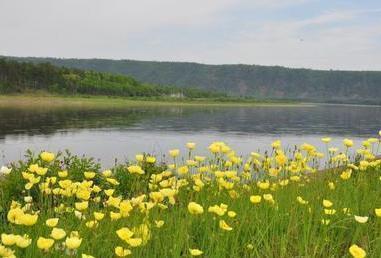 荆公|王安石的一首不朽之作,感人至深,最后三句更是震古烁今