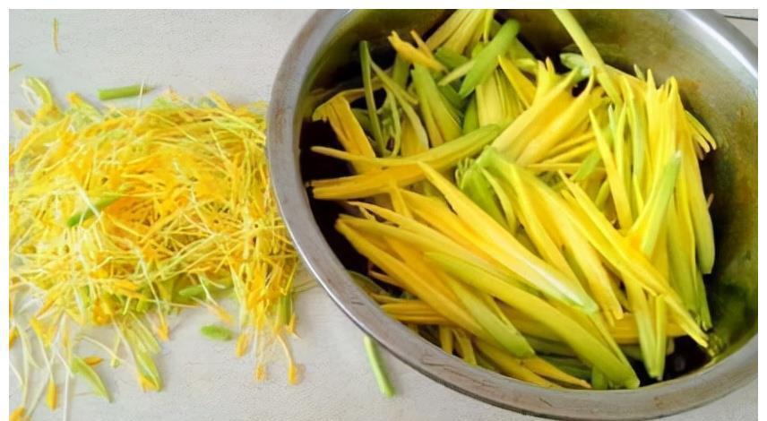 抗氧化性活性物|女性身体好,好食物记得吃,改善肠胃,延缓衰老,越吃越好