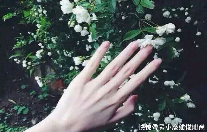 鲜奶|8种护肤小技巧，能让你的皮肤白又嫩，在家也能做，值得看看