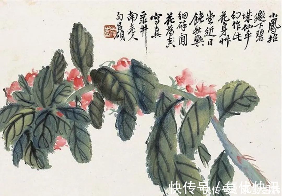 写意画#写意画大师吴昌硕,认为齐白石只学到了皮毛,其实则不然