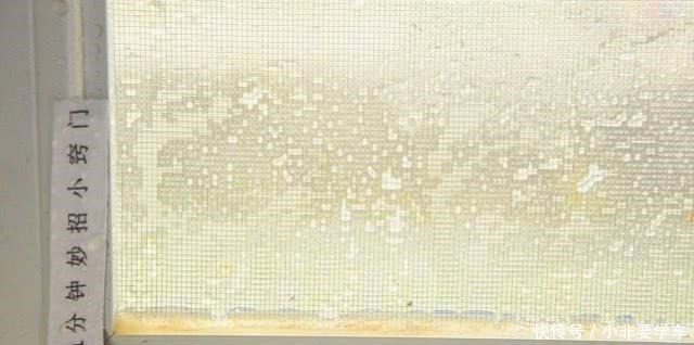 纱窗脏了别拆洗，清洗纱窗方法，喷一喷污垢自己掉下来，超实用！