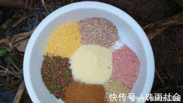 想钓好鱼饵料很关键,别再听商家忽悠了,这4点才是最核心的
