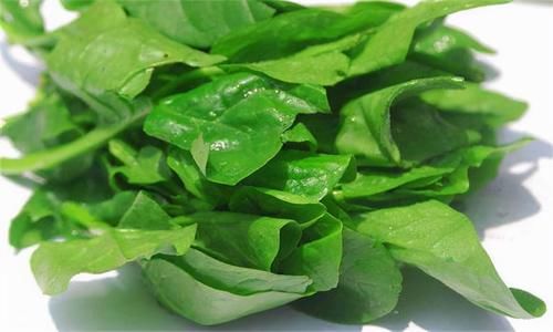 食物|女性不像是衰老，平时吃的食物，排黑臭宿便，湿气没了，身材更好