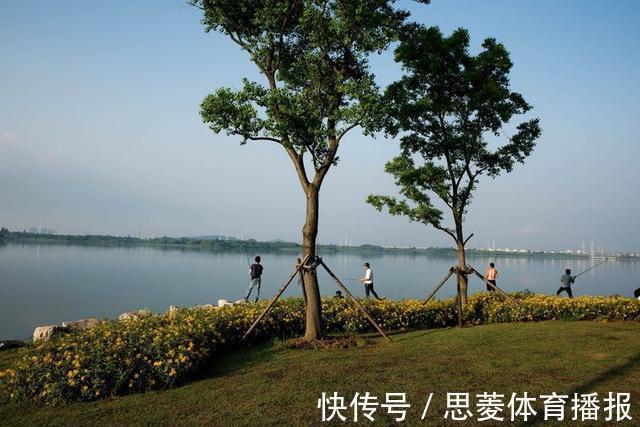 美国黑鲈入侵武汉东湖,原因竟是有人故意放生?钓鱼人:太多了