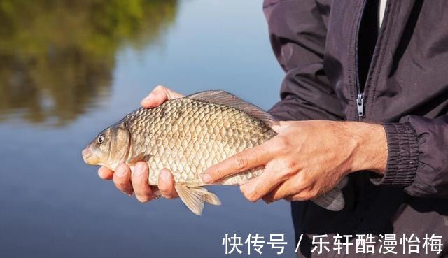 传统|深冬想要钓好鱼，千万别迷信台钓商品饵，传统虫饵才是王者！